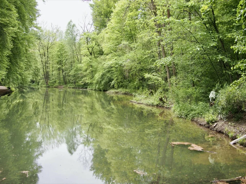 visiter Munich avec les enfants