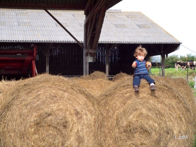 Bienvenue à la ferme ! (cadeau inside)