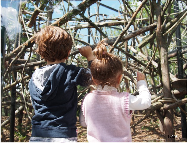 zoo_vincennes