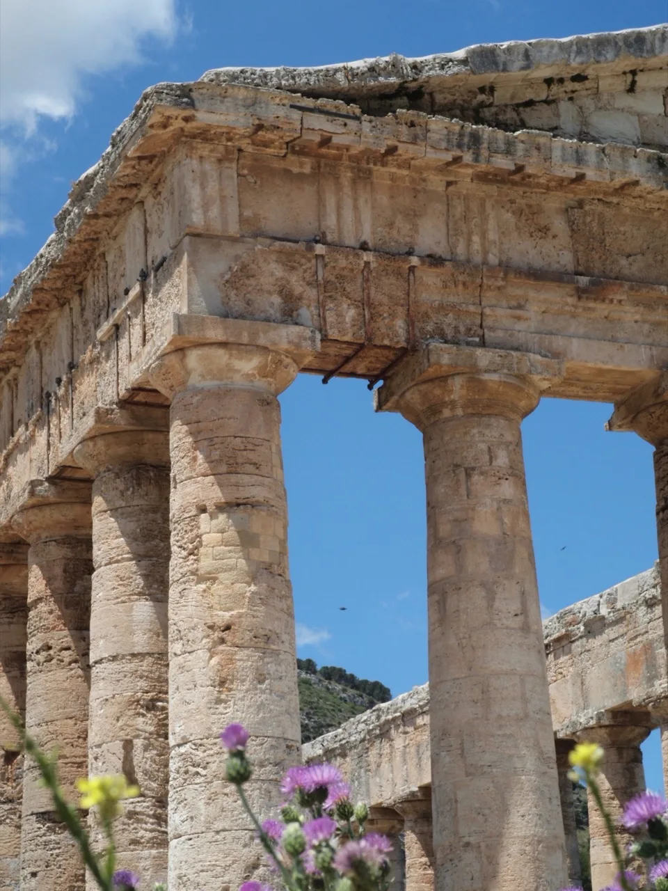 temple segeste