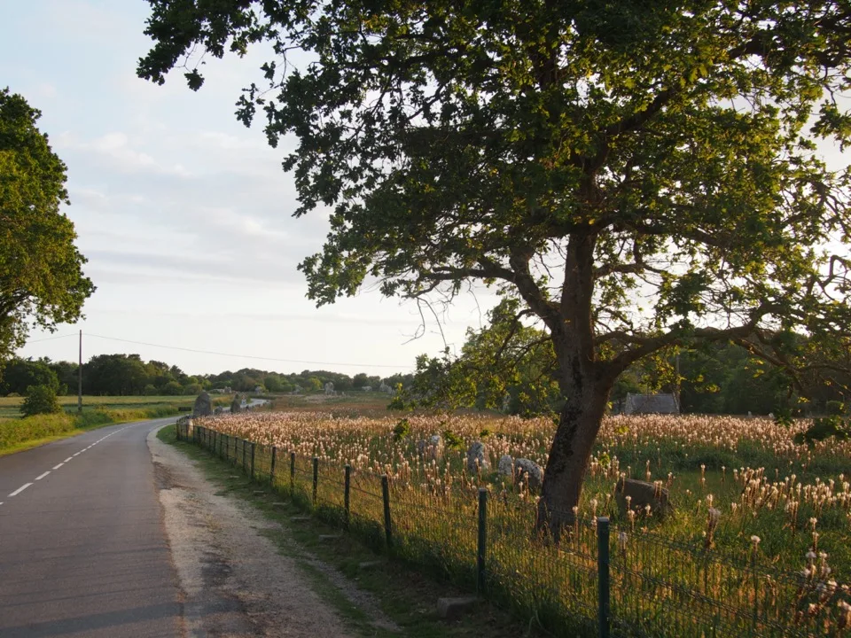 Carnac à vélo