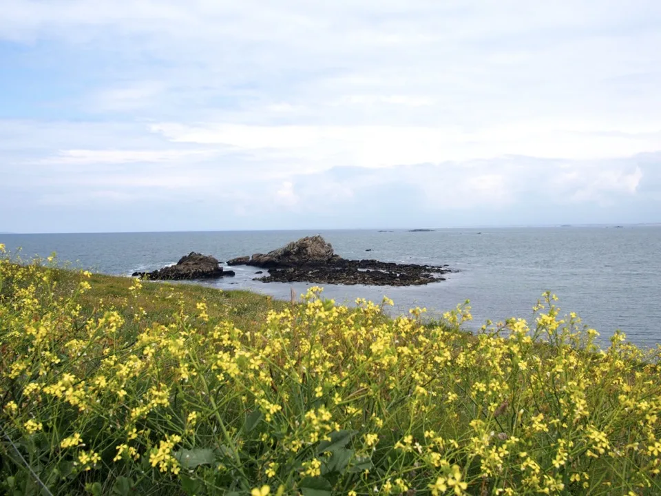 Quiberon à bélo