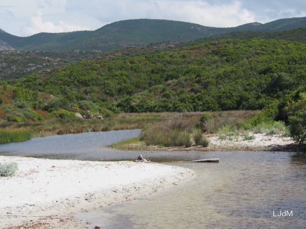 Mon rapide passage en Corse !