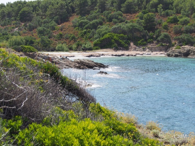 Mon rapide passage en Corse !
