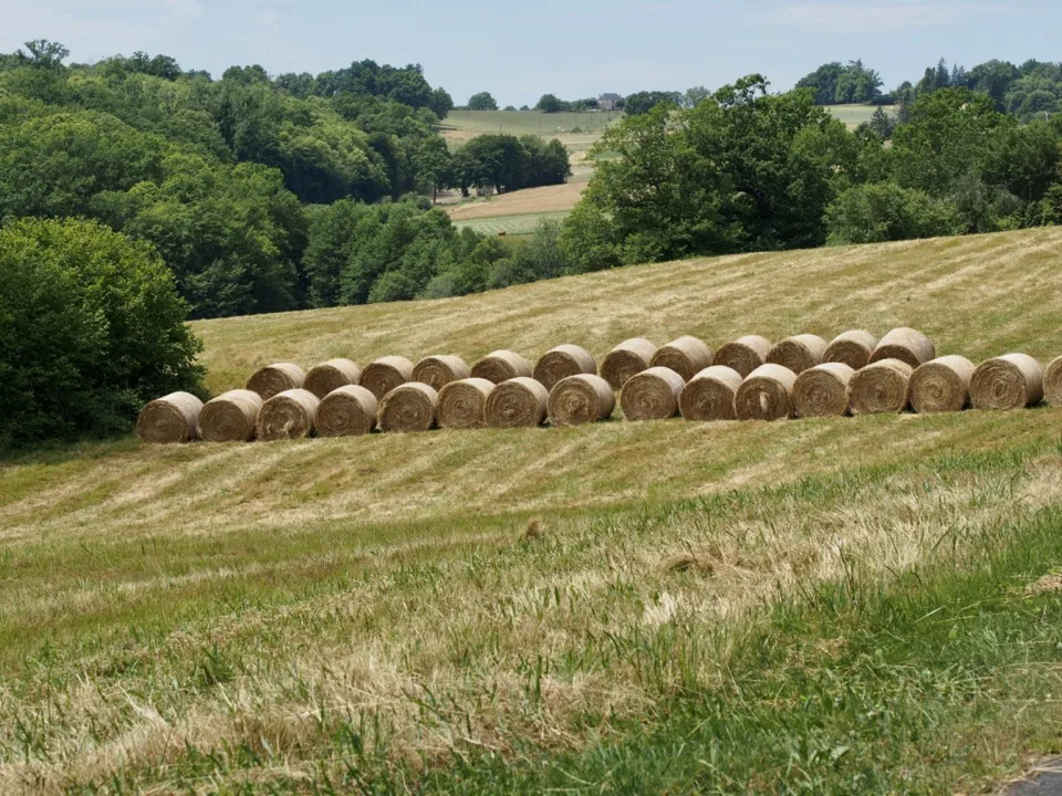 base de loisirs rouffiac