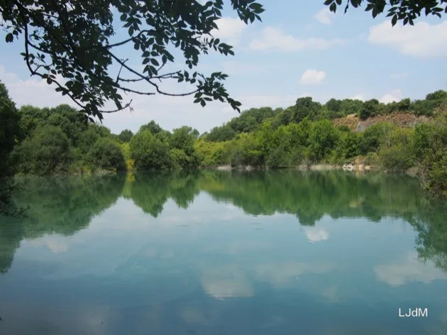 Lac de carrière vert entouré d'arbres à Echologia
