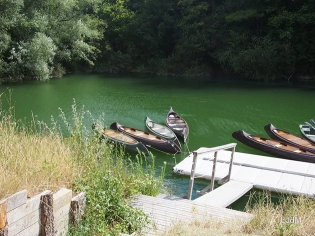 Canoës amarrés à une jetée sur un lac de carrière verdoyant