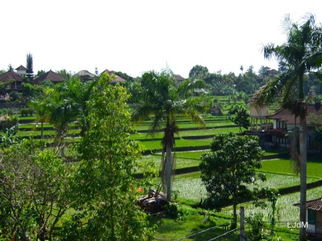 DSCF0245