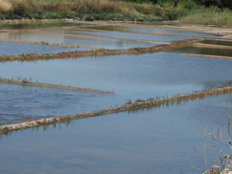 salines noirmoutiers