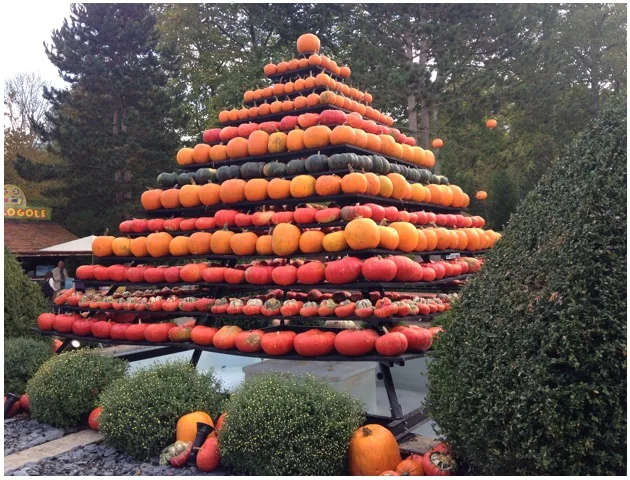Pyramide faite de rangées de citrouilles orange à Nigloland