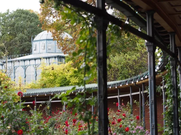 Wilhelma : le jardin botanique et zoologique de Stuttgart
