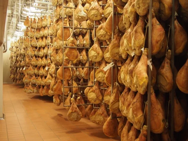 Jambons de Parme suspendus pour mûrir