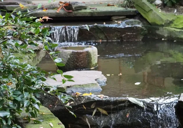 Un jardin japonais à Paris, zen et insolite