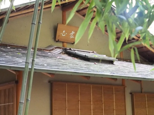 Un jardin japonais à Paris, zen et insolite