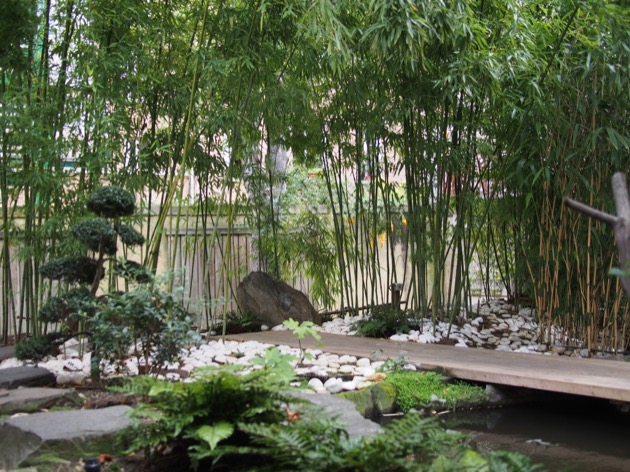 Un jardin japonais à Paris, zen et insolite 