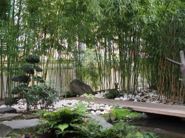 Un jardin japonais à Paris, zen et insolite