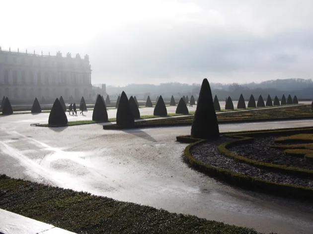 Allées ensoleillées et topiaires taillés dans les jardins de Versailles