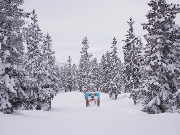 La Rosière : une station coup de cœur, idéale pour la famille