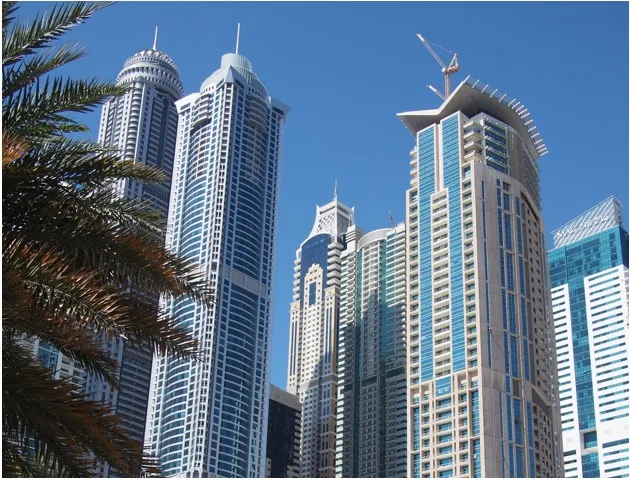 Tours de grande hauteur à côté des palmiers dans la marina de Dubaï