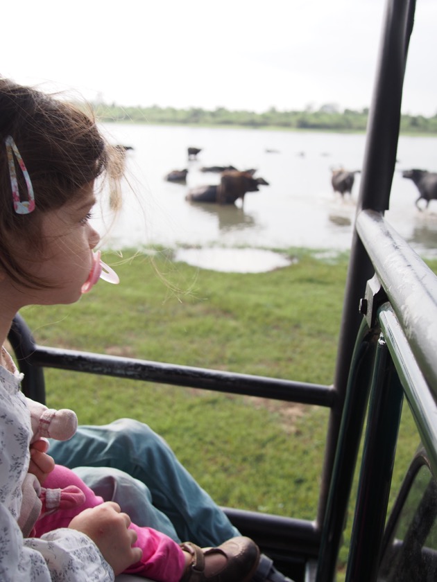 P2151601 - Version 2