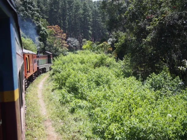 20 activités que les enfants ont aimées au Sri Lanka