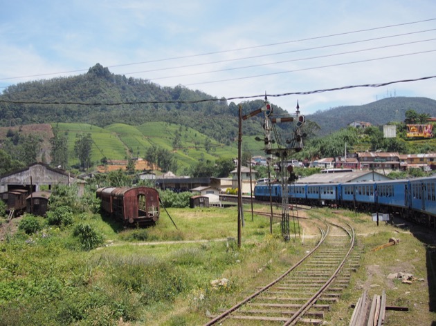 Le Sri Lanka : une histoire de thé
