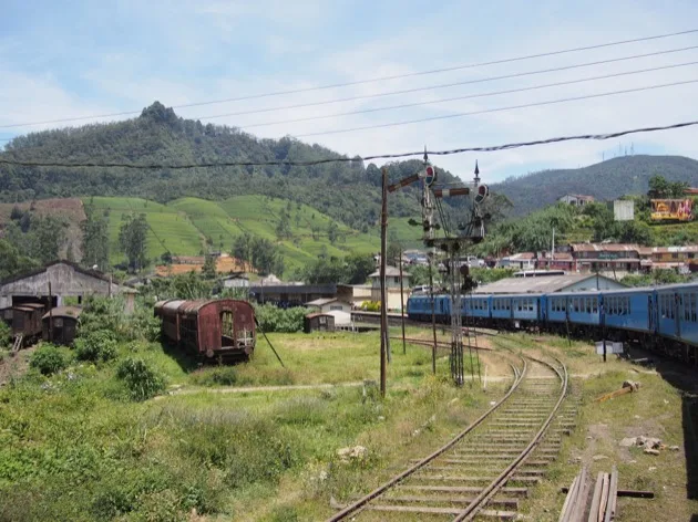Le Sri Lanka : une histoire de thé