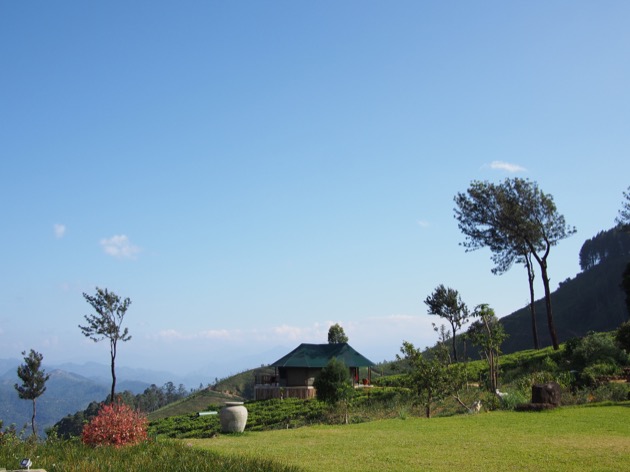 Nuit au cœur d'une plantation de thé au Madulkelle Tea & Eco Lodge