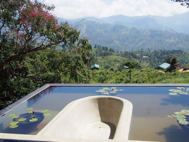 Nuit au cœur d'une plantation de thé au Madulkelle Tea & Eco Lodge