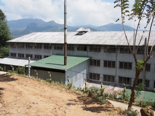 Le Sri Lanka : une histoire de thé