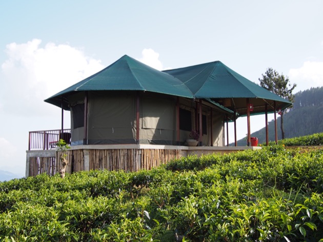 Nuit au cœur d'une plantation de thé au Madulkelle Tea & Eco Lodge