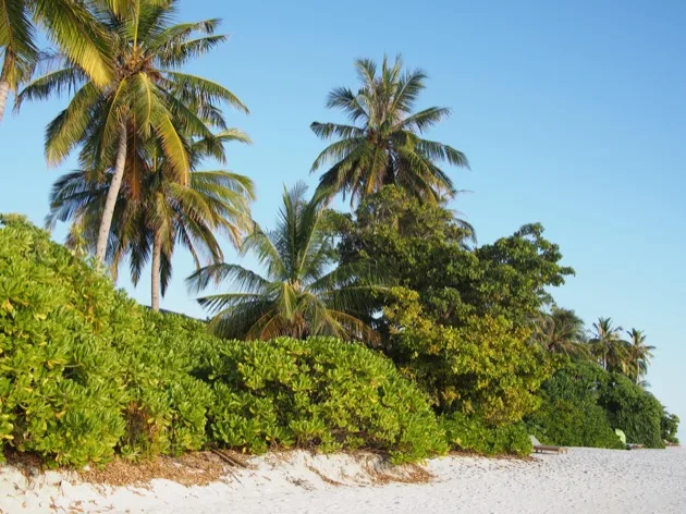 Quelques jours aux Maldives