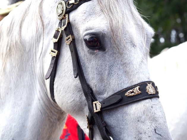 La Semana Santa à Séville