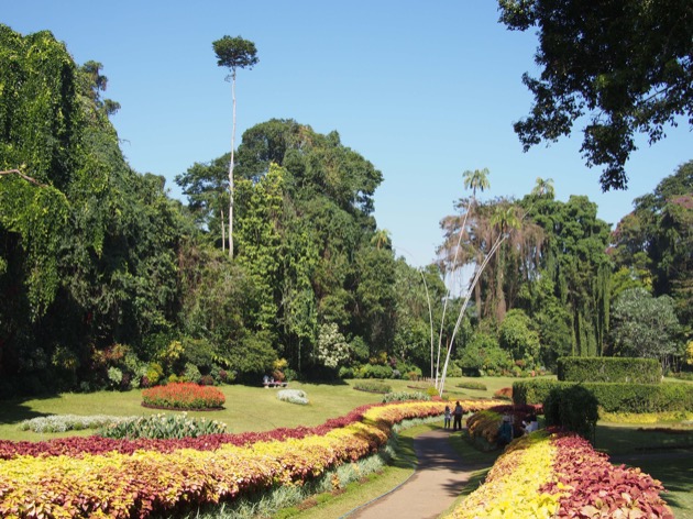 Au pays de Kandy !