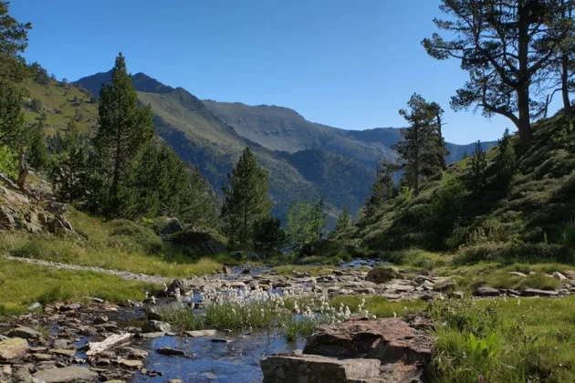 Ruisseau de montagne et sentier de randonnée en Andorre