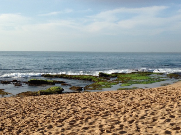 Le Sri Lanka côté plages