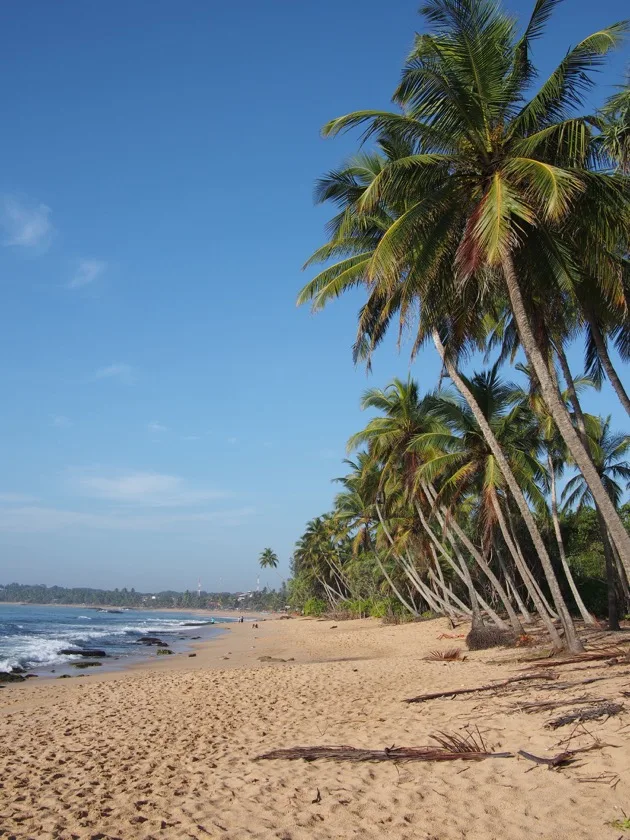Le Sri Lanka côté plages