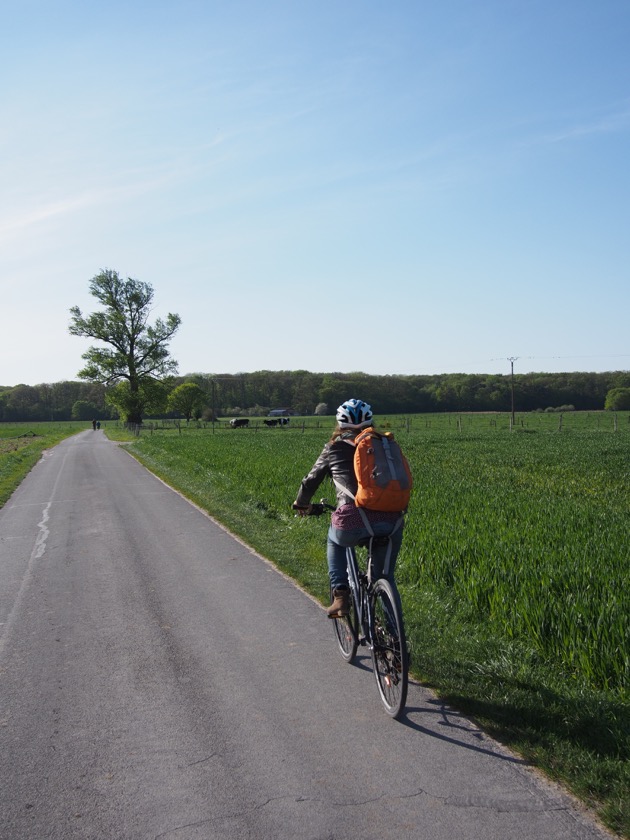 Escapade à vélo du côté de Cheverny