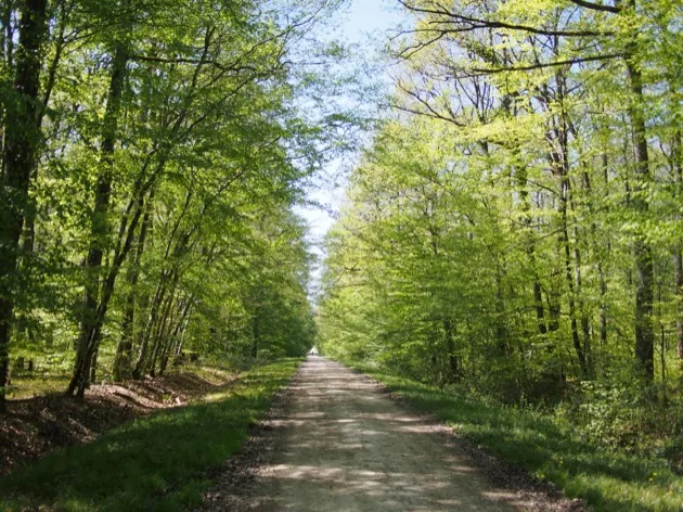 Escapade à vélo du côté de Cheverny