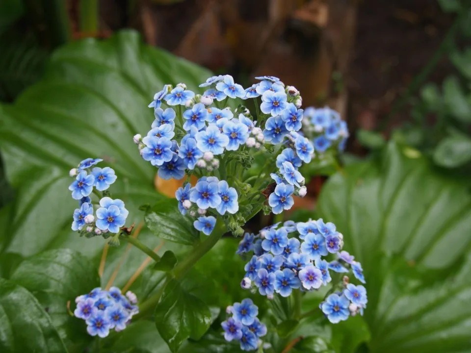 en famille sur l'île de Batz