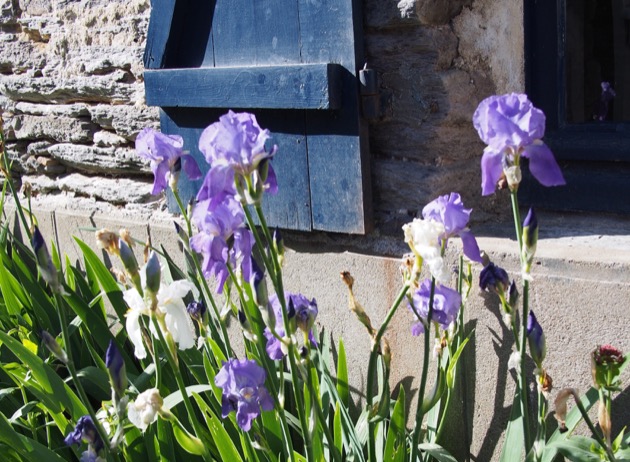 maison bretonne