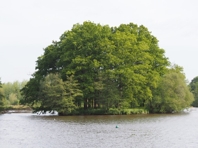 île aux Pies