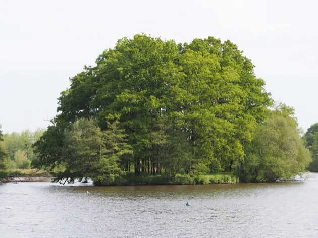 Île boisée sur le canal Nantes-Brest