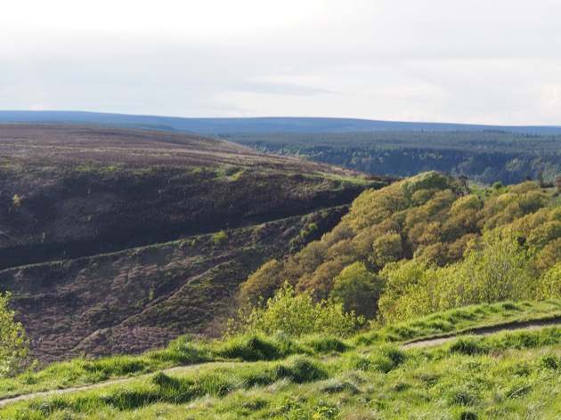 visiter le Yorkshire