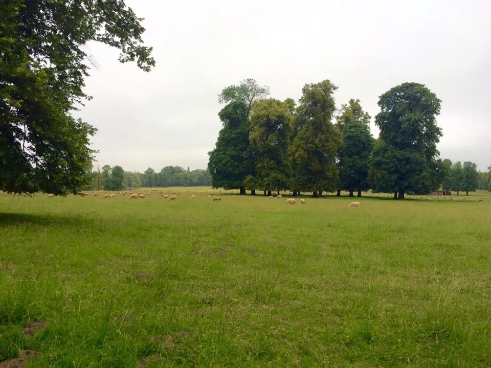 Bergerie Versailles