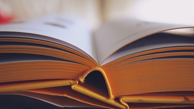 lire_en_voyage