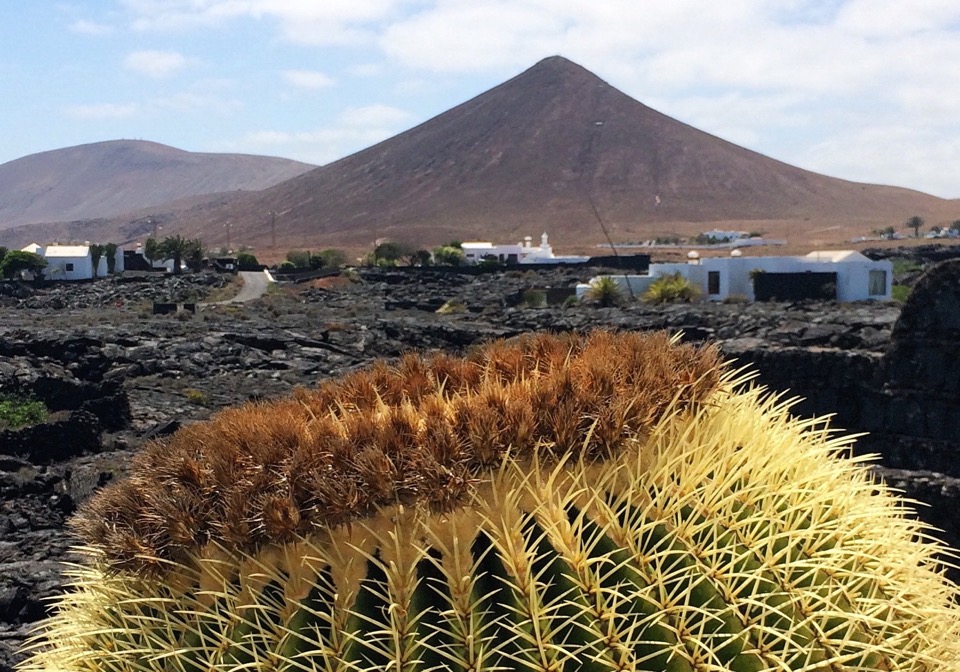 One week in Lanzarote with children