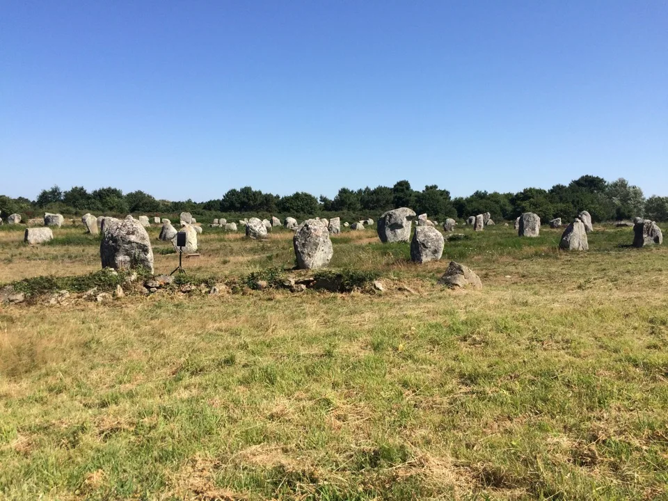 Menhirs de Carnac dans un champ herbeux