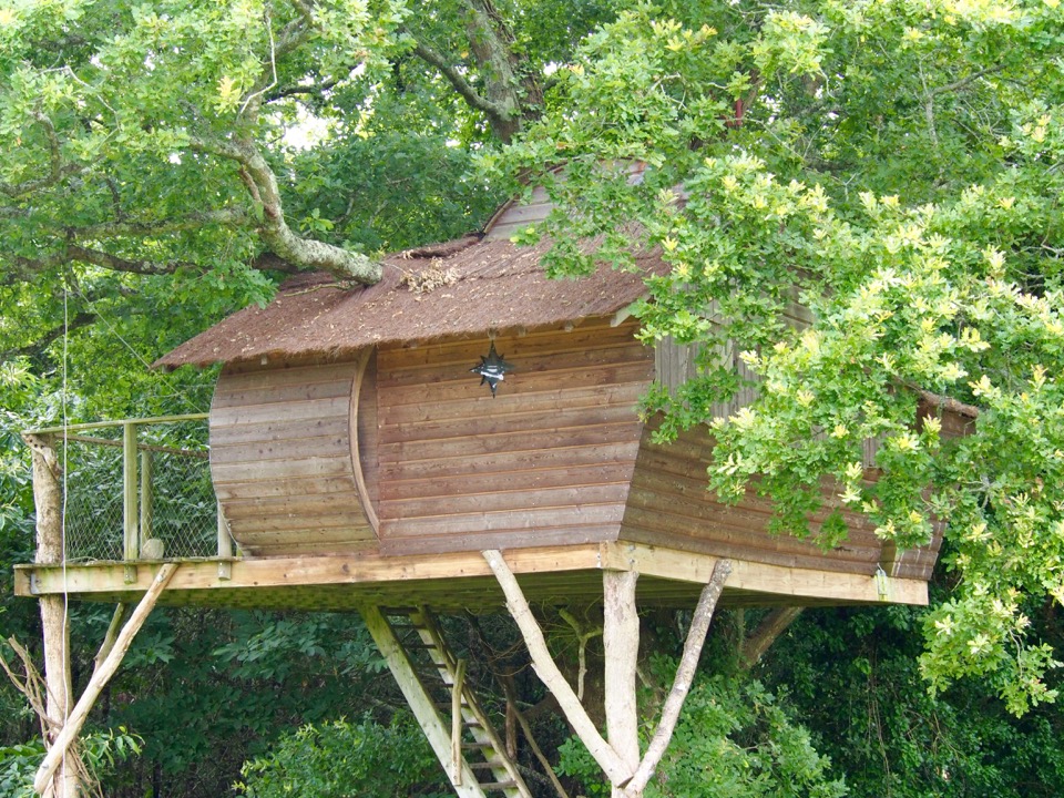 Cabane dans les arbres et yourte : notre expérience en famille chez Dihan