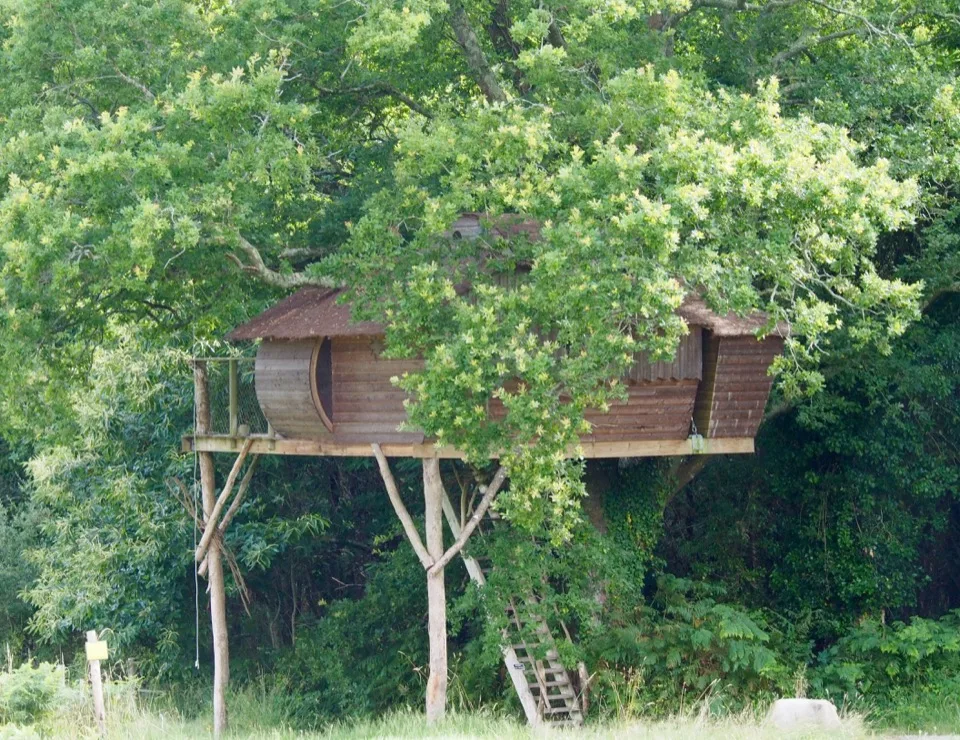 Cabane dans les arbres en bois élevée parmi les branches feuillues